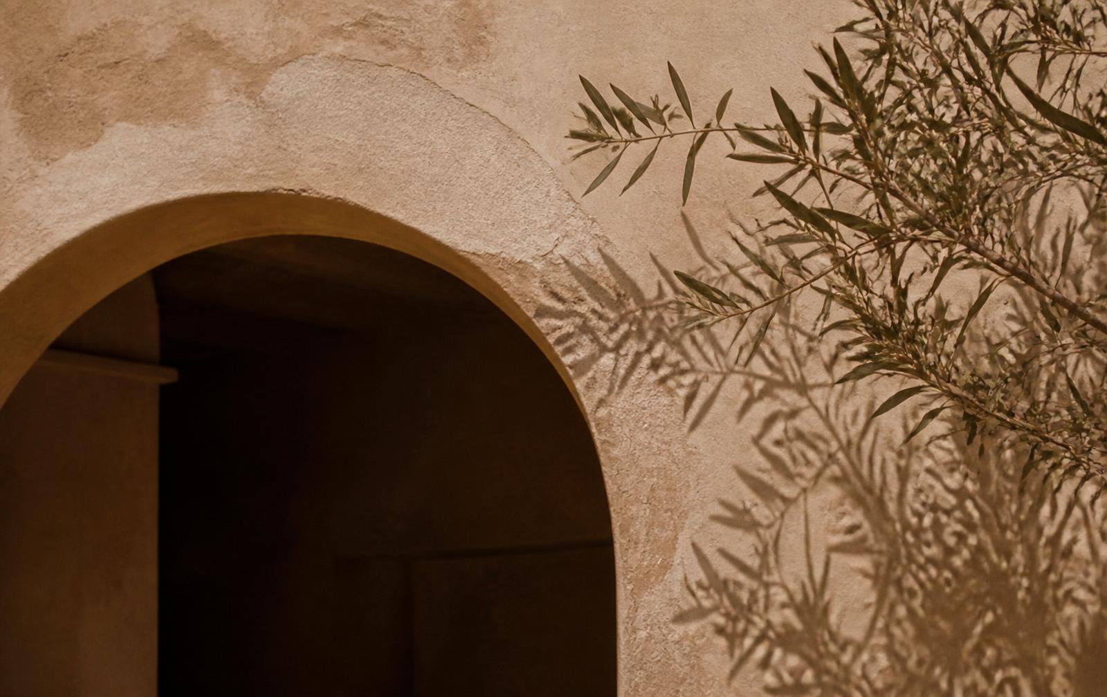 Arche de riad marocain et ombres de branches d'olivier